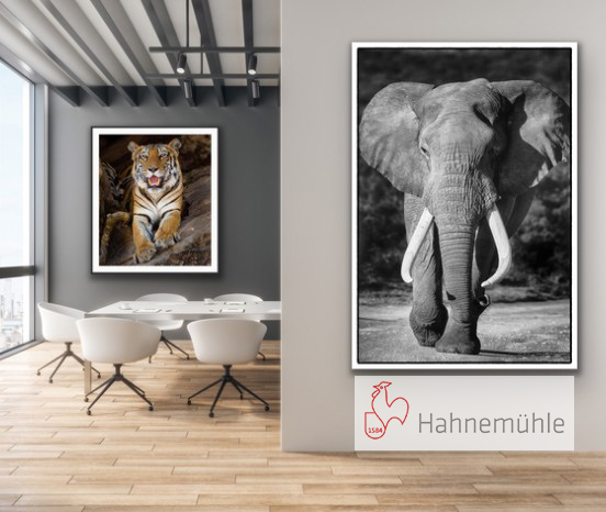 tirage papier fine-art Warneton-Comines lille